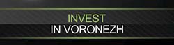 Investment portal of the Voronezh Region