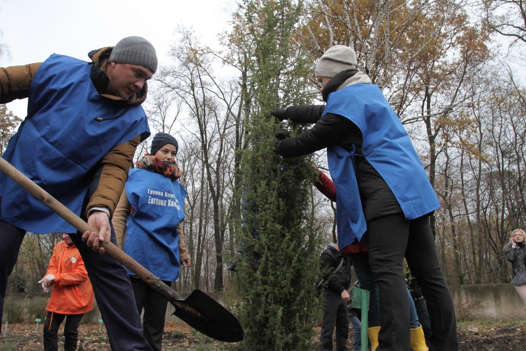 В Ботаническом саду ВГУ появилась Аллея выпускников