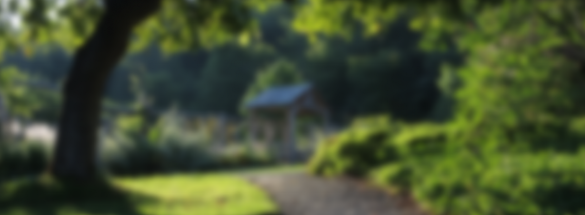 Формирование фонда развития «Замечательного сада» ВГУ