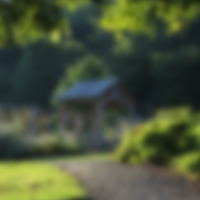 Формирование фонда развития «Замечательного сада» ВГУ