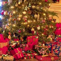 Благотворителям и членам Попечительского совета  Эндаумент-фонда ВГУ поздравление с Новым годом!